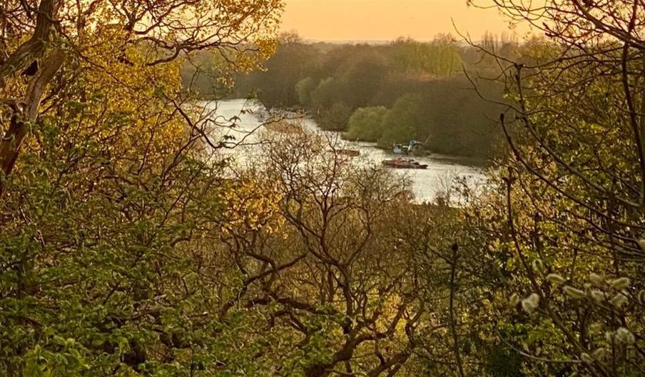 River Thames from Petersham Common Woods (April 2021)