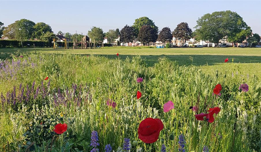 Heathfield Recreation Ground