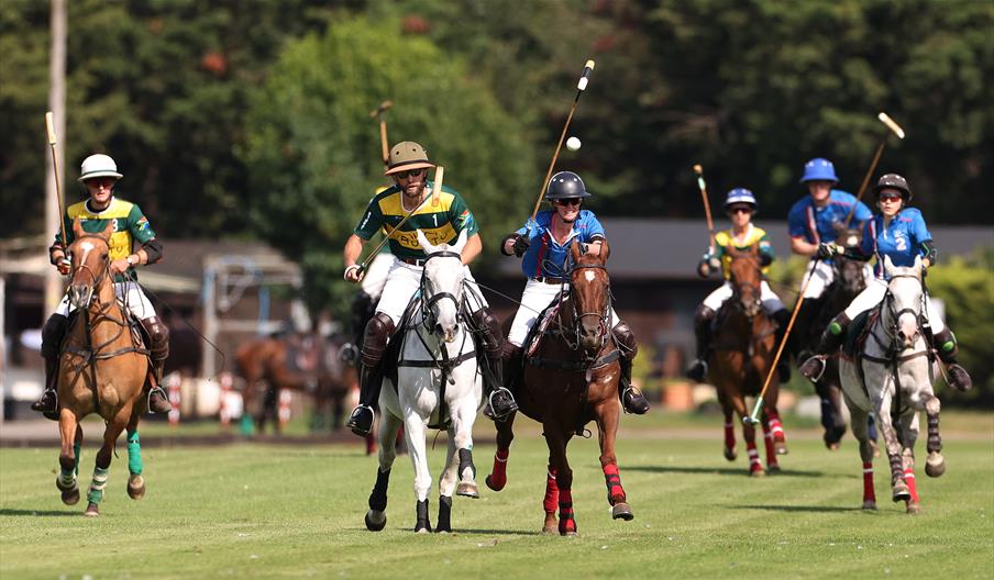 Ham Polo Club