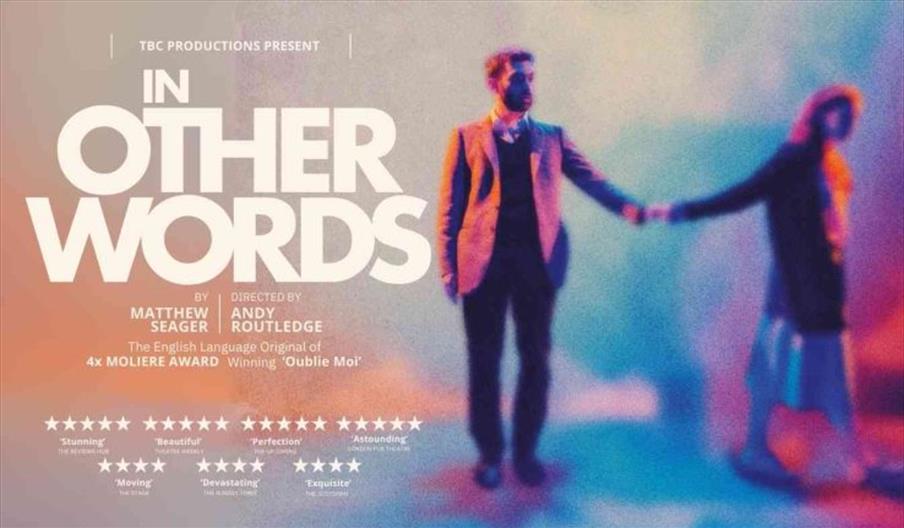 In Other Words Promo Poster