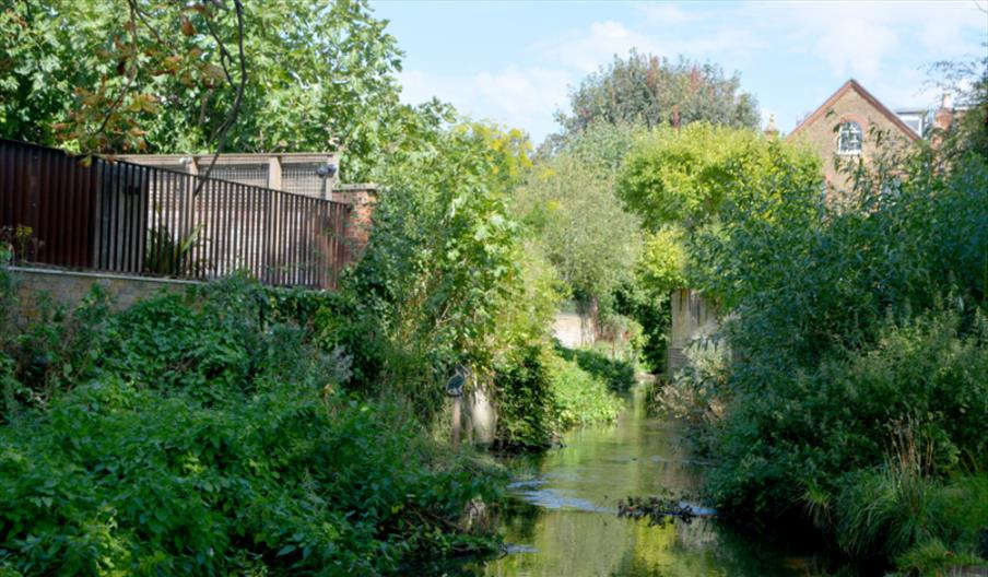 A brook with houses in the background