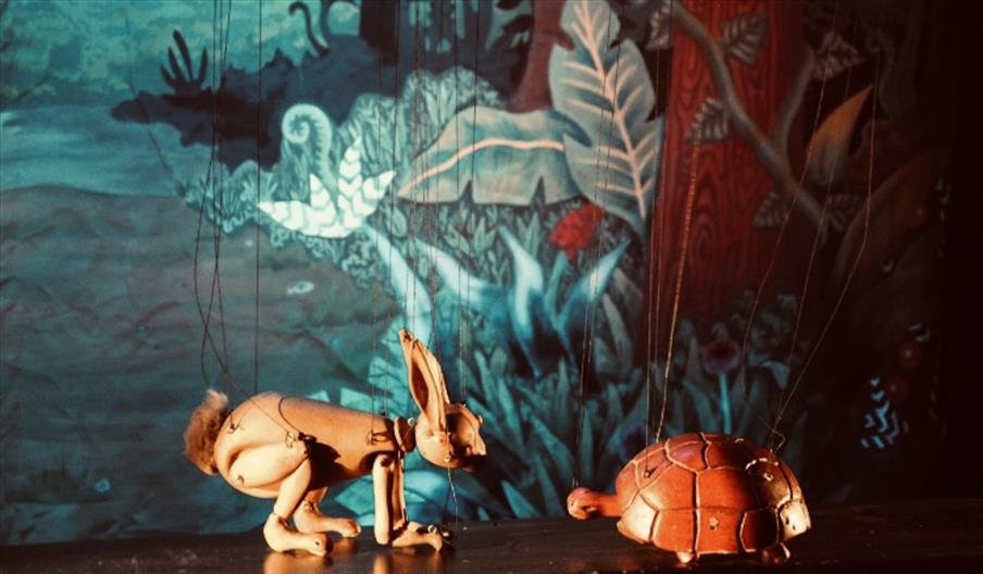 The Hare and the Tortoise