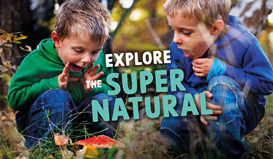 October Half-Term Activities