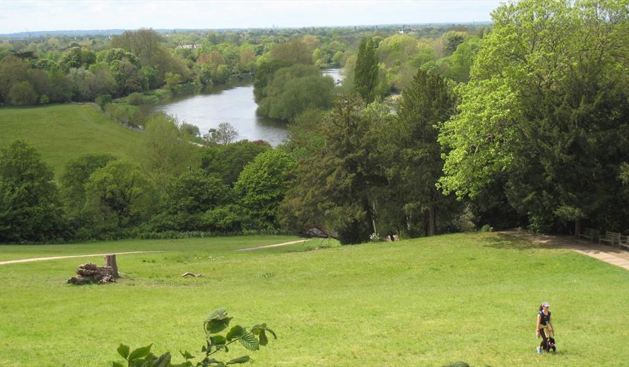 River Thames view