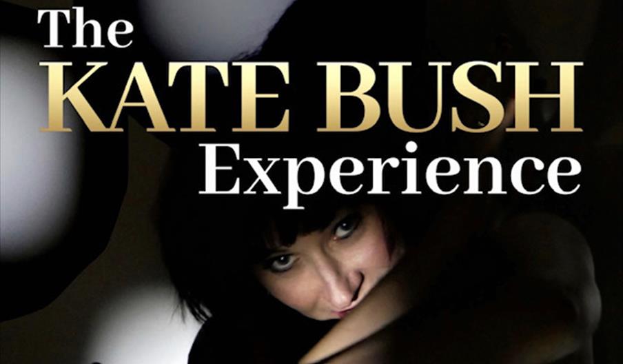 The Kate Bush Experience