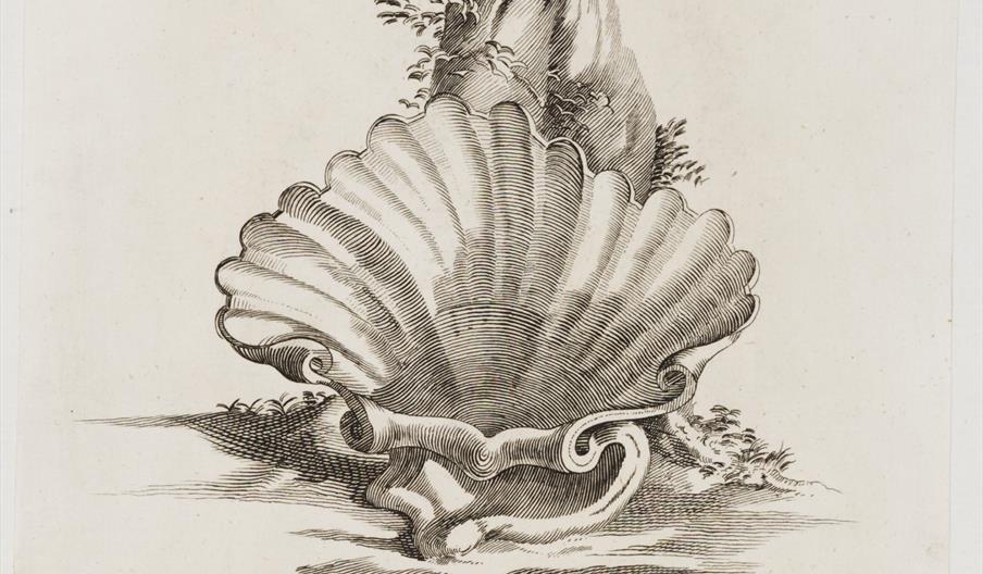 The Shell Seat - Thomas Morris after Richard Bentley, 1784