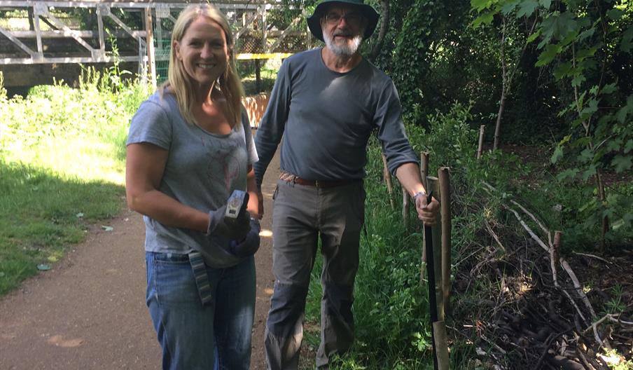 Building a dead hedge