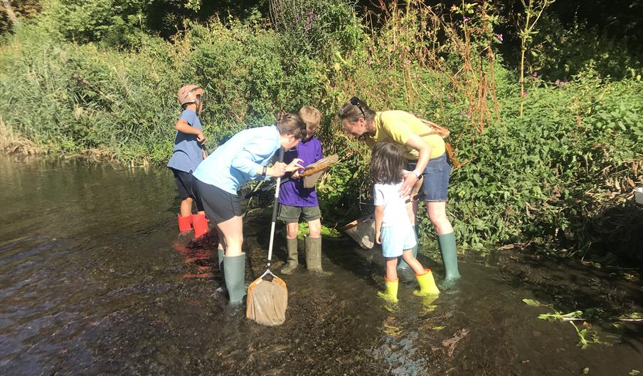 Looking for life in the river