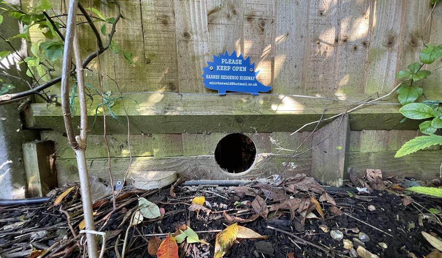 A hedgehog hole in a garden fence