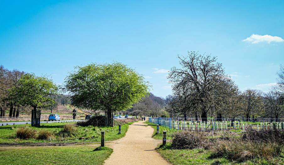 Richmond Park