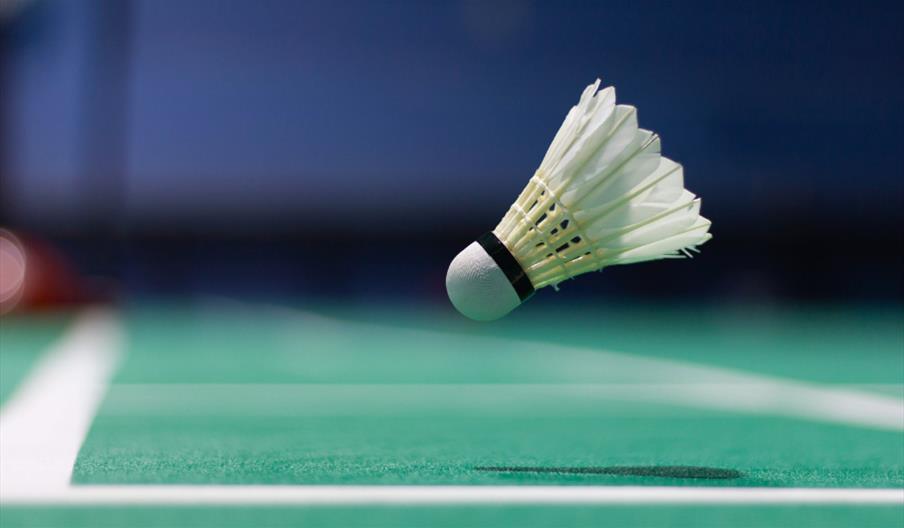 Adult - Badminton Social  (Hampton)