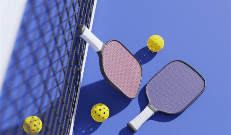 Adult Pickleball Social