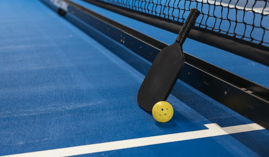 Adult Social Pickleball (Hampton)
