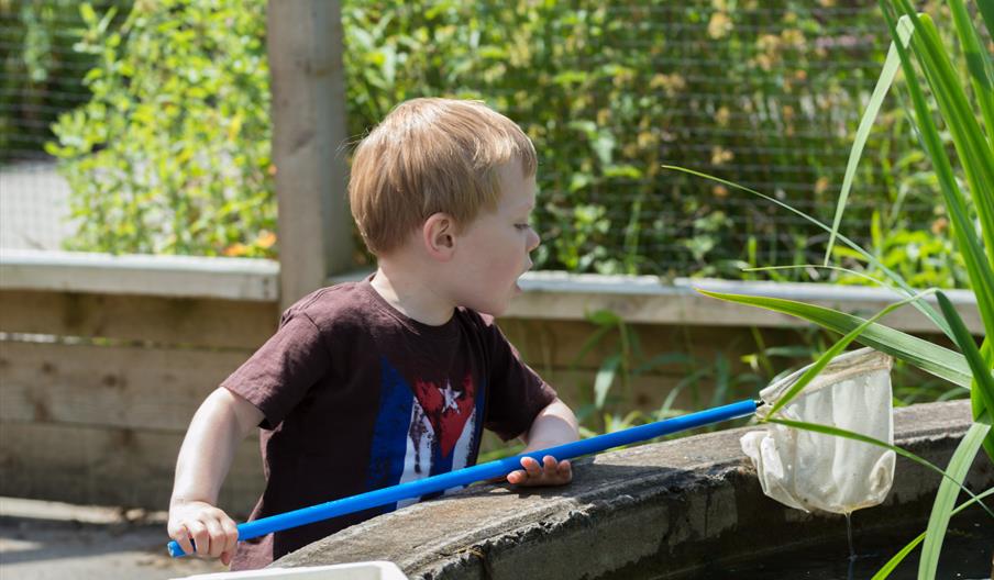 Autism and Sensory Needs Friendly Pond Dipping