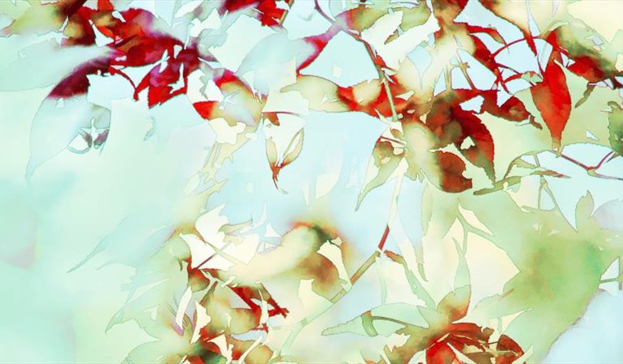 Autumn Art Fair