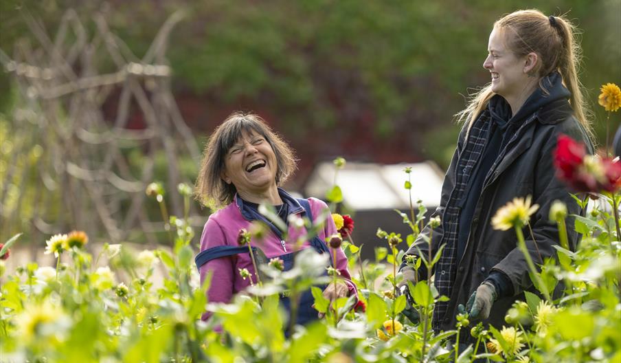 Two women laughing among plants