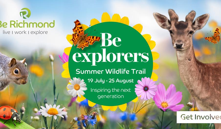 Wildlife Trail in Richmond Poster with Deer, Ladybirds, Butterflies
