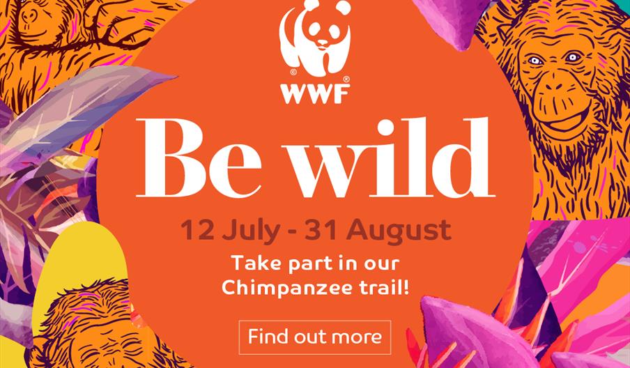 An image of Be Wild Art Trail