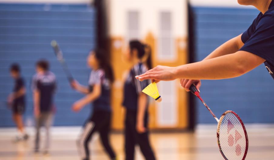 Adult Badminton Social (50+)