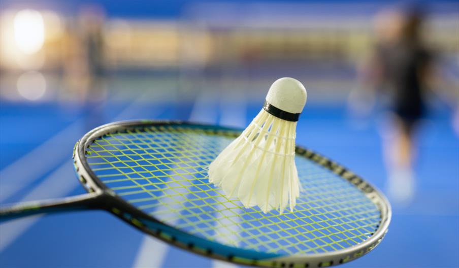 Adult Badminton Socials
