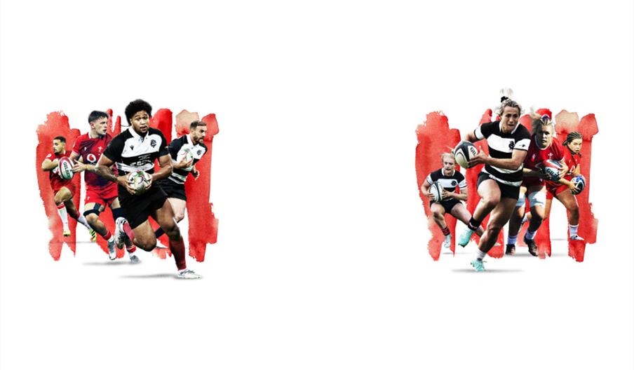 Barbarians v Wales Double Header
