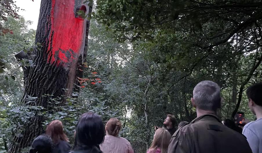 Evening Bat Walk at Leg o'Mutton Nature Reserve