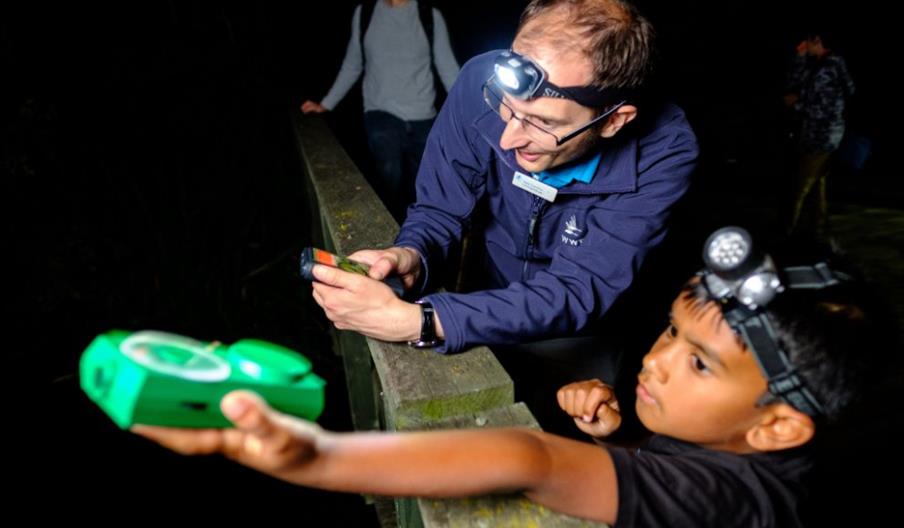 Junior Bat Walk - image credit Ben Cherry WWT