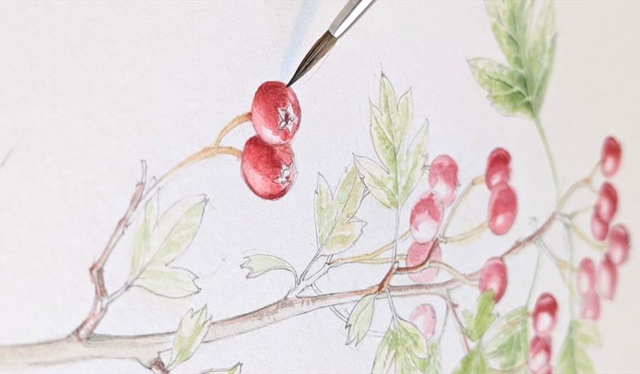 A sketchbook image of red berries on a branch