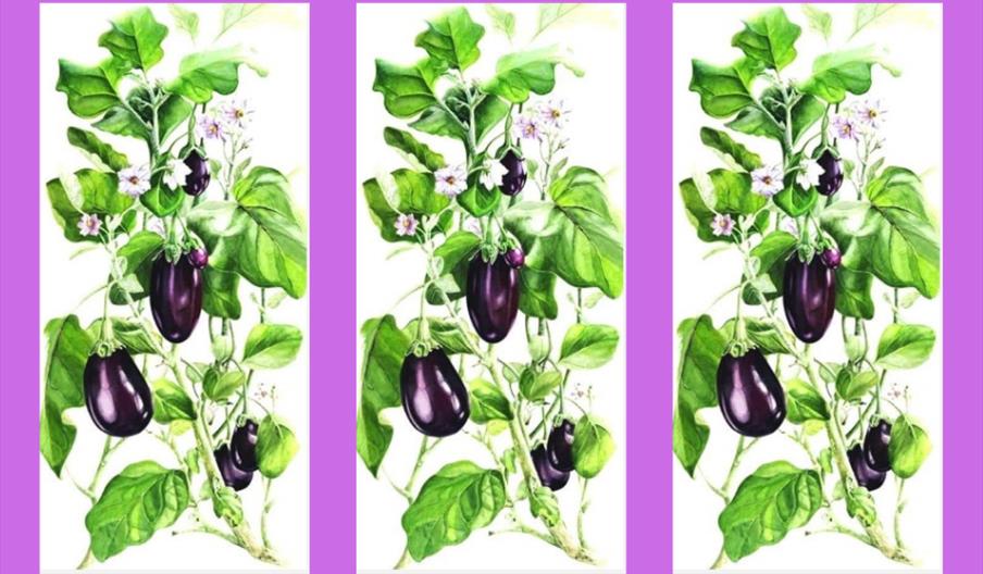Botanical art