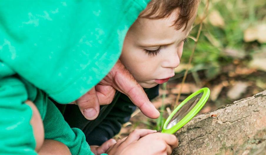 Bug Catching