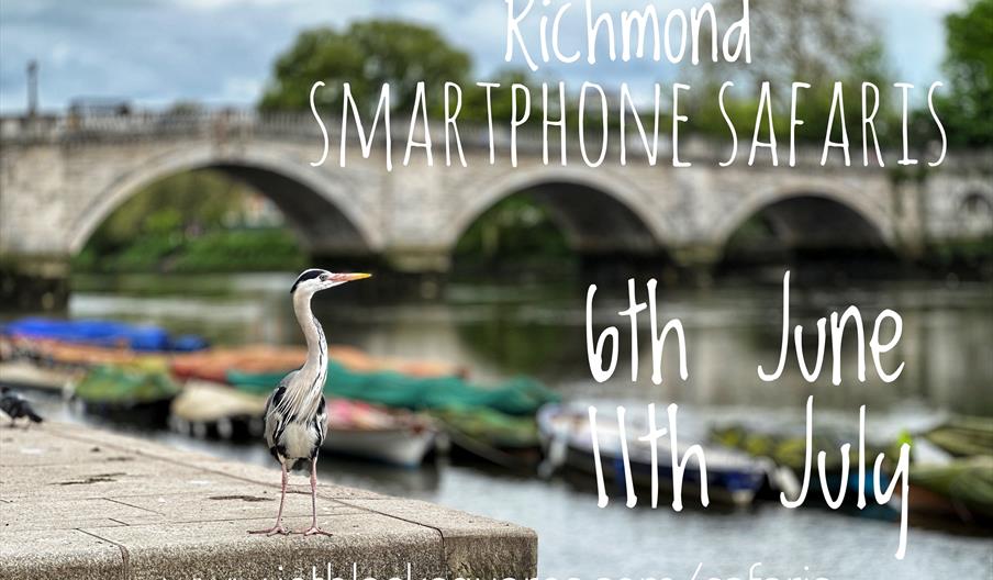 Next Safari Dates