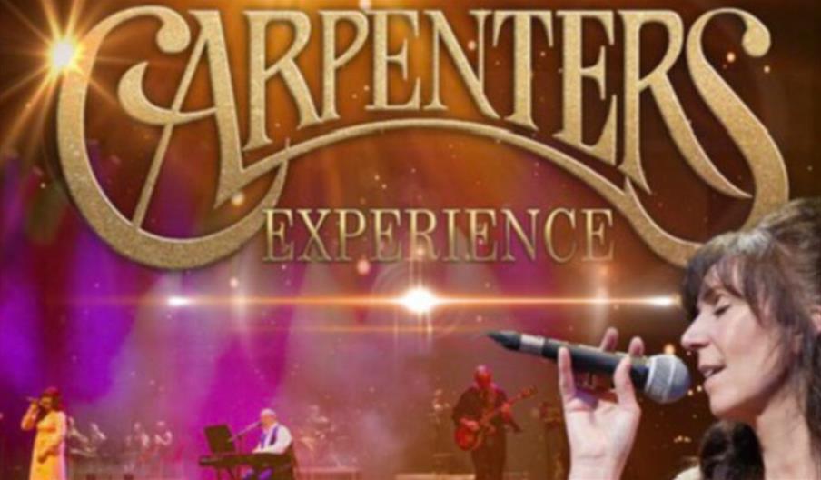 Carpenters Experience