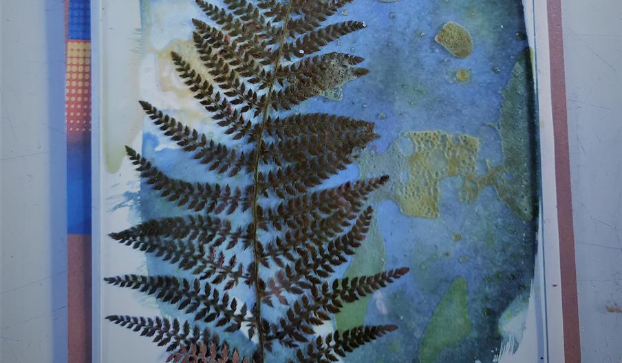 Cyanotype