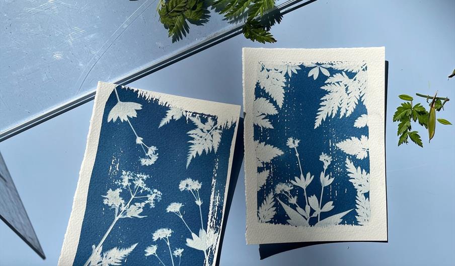 Queer Ecology Cyanotype Printing Workshop - Image credit: Connor Butler