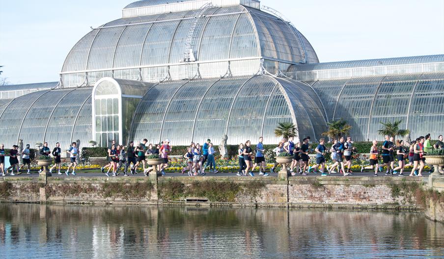 Kew Gardens palm house runners