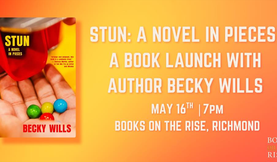 pictureofstunbooklaunchbanner