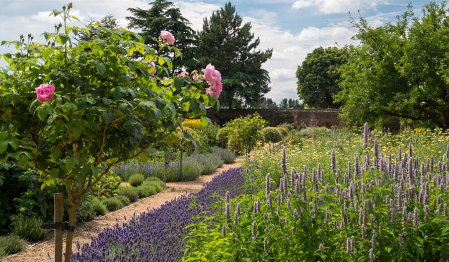 Kitchen Garden at Ham House - Chris Davies