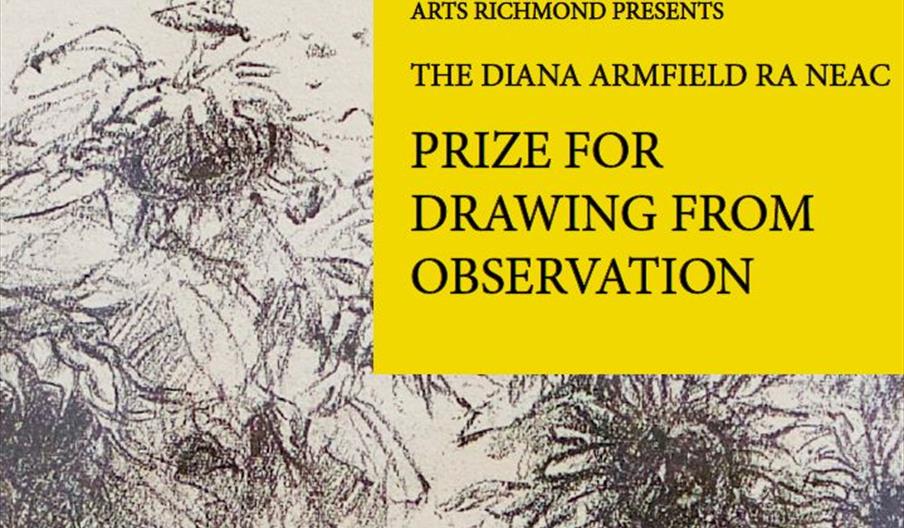 Diana Armfield Drawing Competition