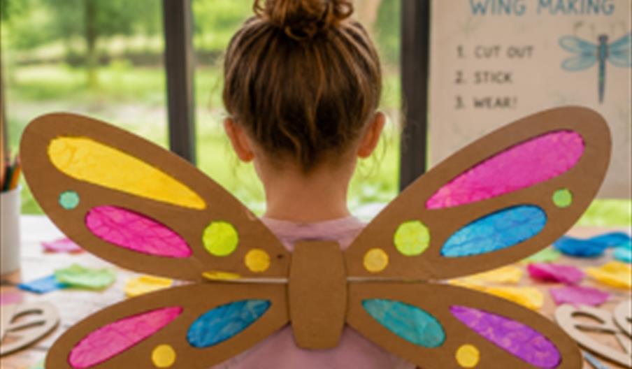Dragonfly Wing Making Workshop