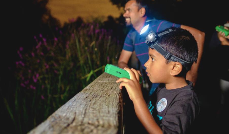 Junior Bat Walk - image credit Ben Cherry WWT