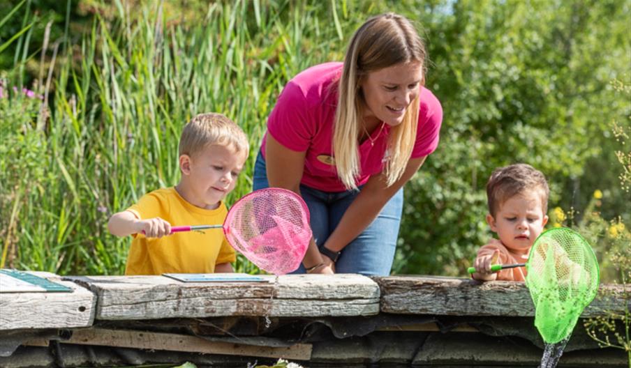 Quiet and Calm Pond Dipping - Tristan Newkey Burden