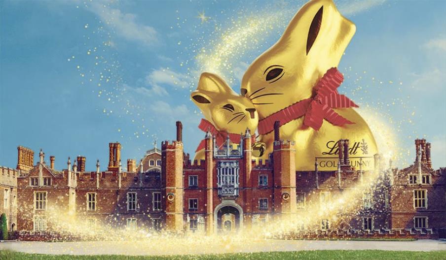 The Gold Lindt Bunny Hunt