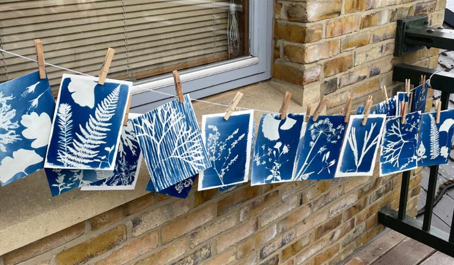 Cyanotypes drying on a string.