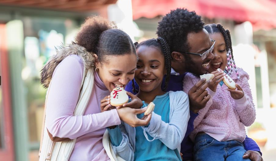 Festive Family Fun Day