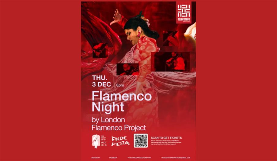 Flamenco Night