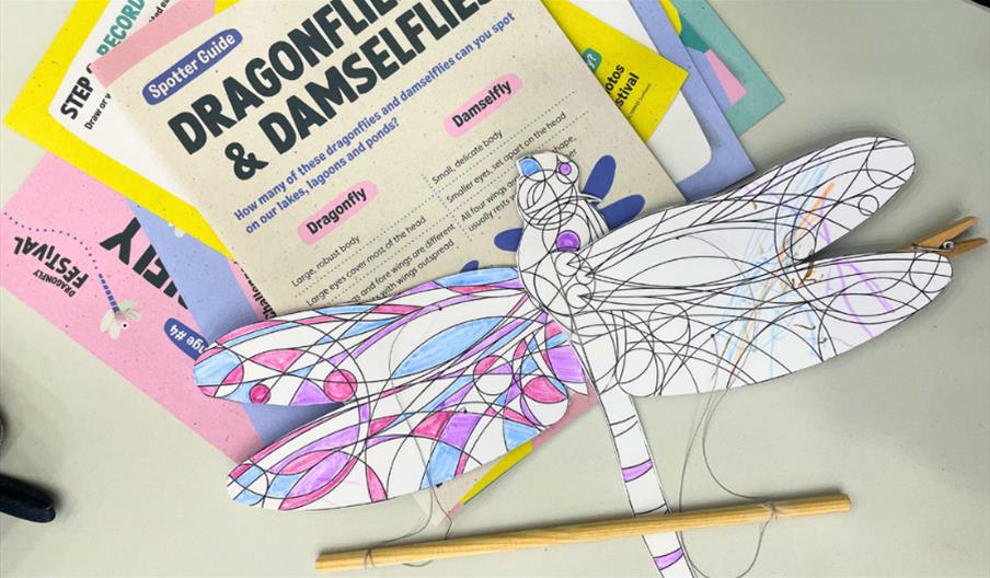 Fridays: Dragonfly Arts & Crafts
