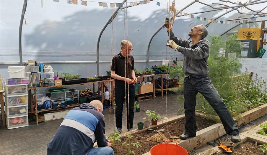 People inside a polytunnel