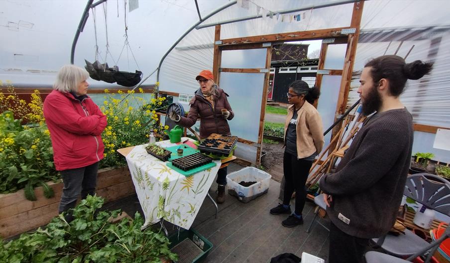 People inside a polytunnel