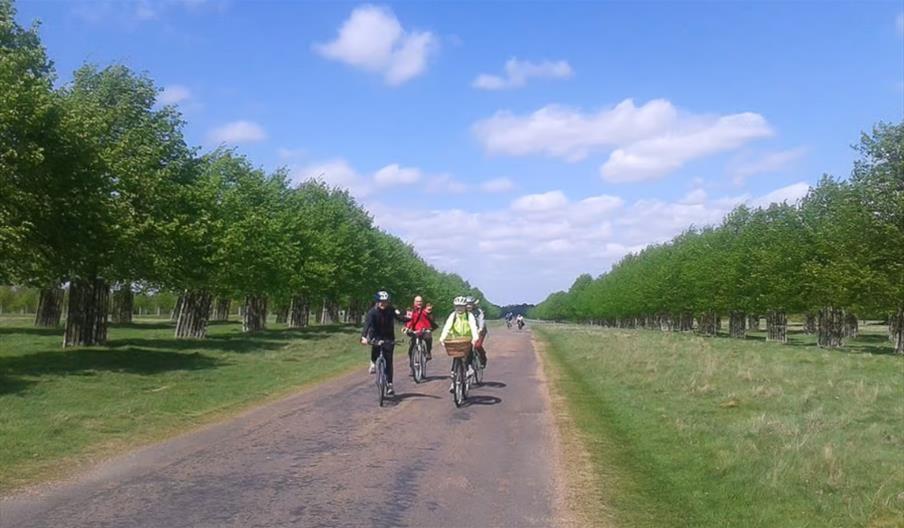 Hampton Court Palace: River Thames Bike Tour