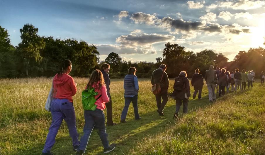 People walking westward on a grassy path. Photo by Andrew Wilson.